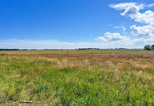 24-07-01 11-02-50 0049